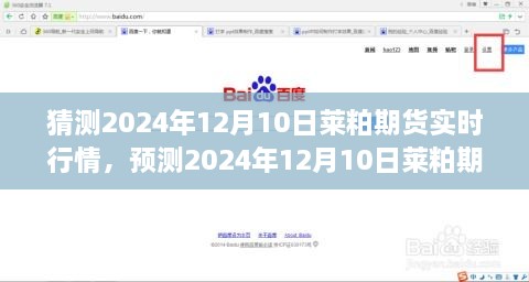 洞悉市场走势，预测莱粕期货行情，把握投资先机（2024年12月10日实时行情分析）