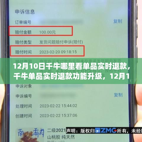 千牛单品实时退款功能升级，行业变革与影响深度探讨，12月10日实时数据解析