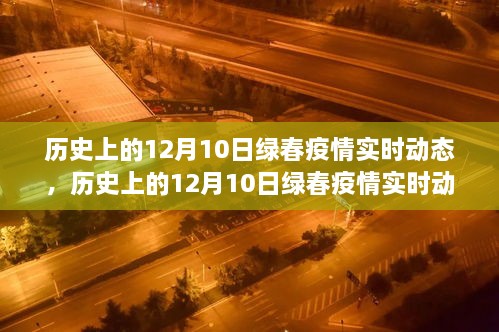 历史上的12月10日绿春疫情实时动态，深度分析与观点阐述