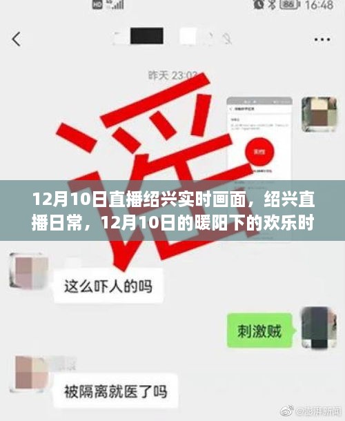 12月10日绍兴直播实时画面，暖阳下的欢乐日常