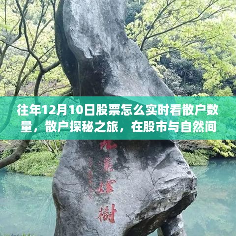 股市散户探秘之旅，如何在股市与自然间寻找内心的宁静？实时观察散户数量揭秘。