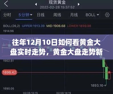 科技赋能下的黄金市场实时走势洞察，黄金大盘走势新视角揭秘！