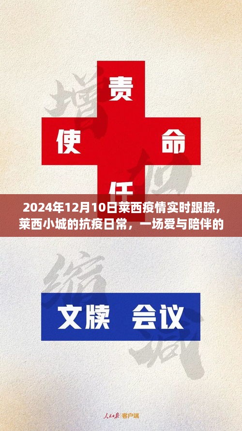 莱西小城抗疫日常，爱与陪伴的温馨追踪（实时更新至2024年12月10日）