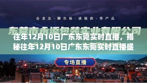 揭秘广东东莞盛况，历年12月10日实时直播回顾