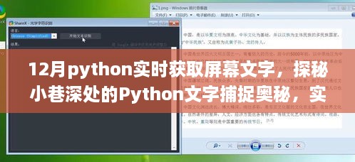 探秘Python屏幕文字实时捕捉，神秘小巷深处的捕捉奥秘