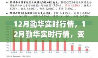 2024年12月11日 第22页