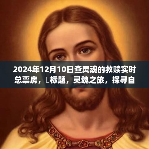 实时揭晓，灵魂之旅电影票房数据，探寻自然美景的救赎之旅（2024年12月10日）