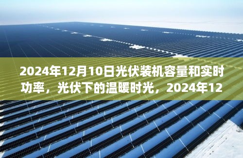 2024年12月10日光伏发展概览，装机容量与实时功率下的阳光故事