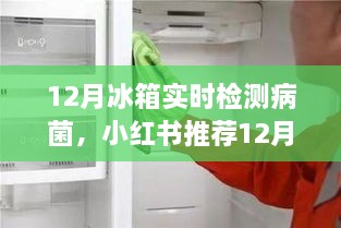 小红书推荐，12月冰箱实时检测病菌，保障食品安全与健康