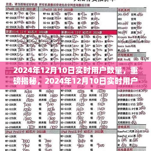 独家揭秘，2024年12月10日实时用户数量背后的惊人真相