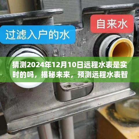 揭秘未来水表智能化趋势，预测远程水表实时监控能否在2024年达成？