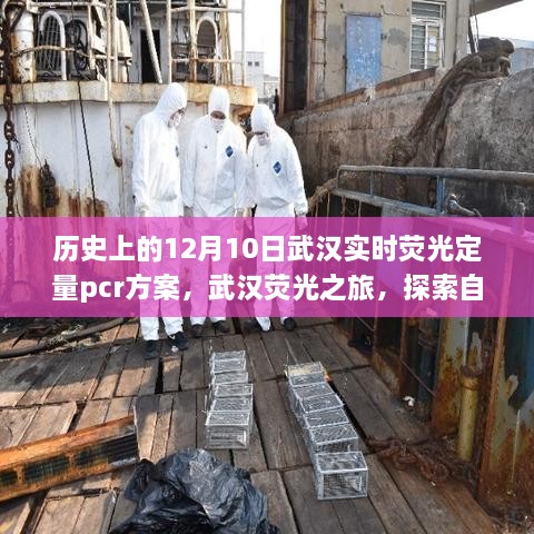 武汉荧光之旅，探索自然美景与实时PCR方案的探索历程——历史上的12月10日