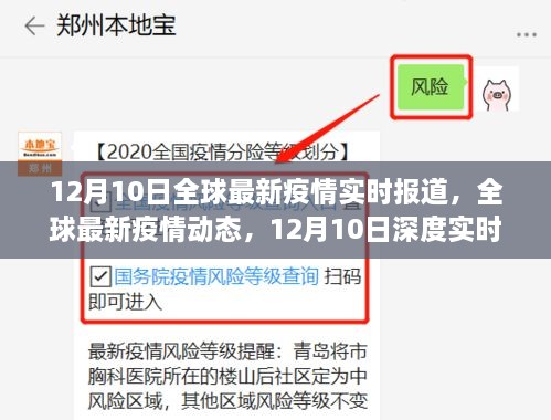 全球最新疫情动态报道，疫情之下小红书的生活点滴记录