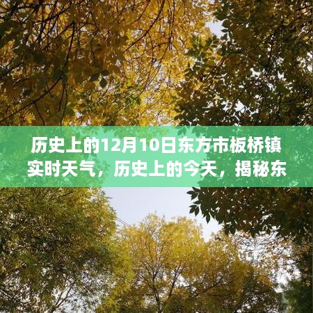 揭秘东方市板桥镇在历史上的今天（12月10日）实时天气变迁纪实