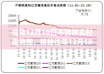 2024年12月11日 第13页