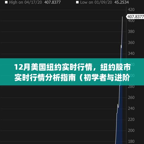 纽约股市实时行情指南，从初学者到进阶用户的全方位分析