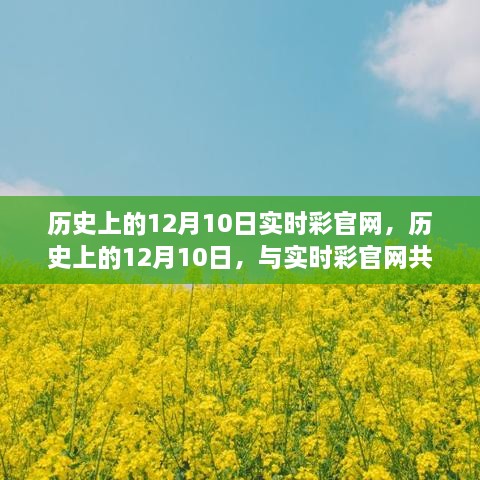 历史上的12月10日，实时彩官网共赴自然美景之旅，寻找内心平和之地之旅