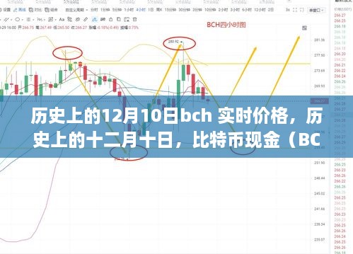 历史上的十二月十日比特币现金（BCH）实时价格回顾与影响