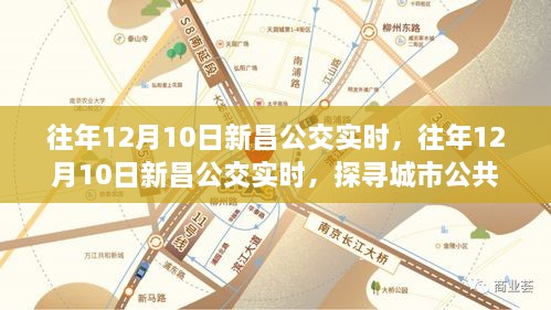 往年12月10日新昌公交实时运营细节探寻，城市公共交通的运营细节解析