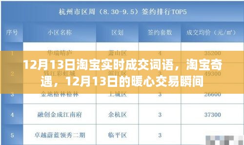 淘宝暖心交易瞬间，揭秘12月13日实时成交词语与奇遇故事