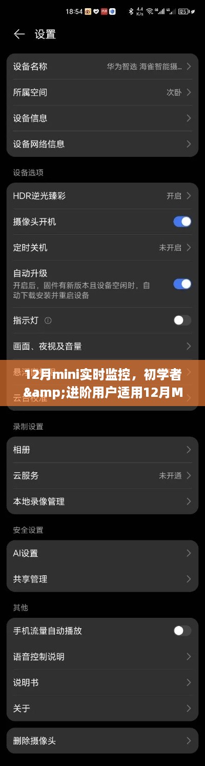 12月Mini实时监控指南，从初学者到进阶用户的详细步骤与监控技巧