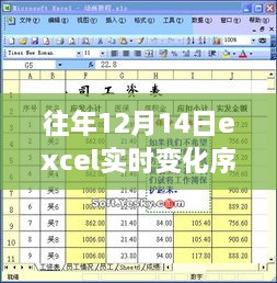 驾驭变化之潮，Excel实时序列的励志故事与成长之路——历年12月14日的探索与变化