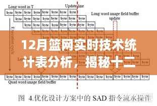 揭秘十二月篮网技术统计表背后的故事，变化、学习与自信的力量分析解读