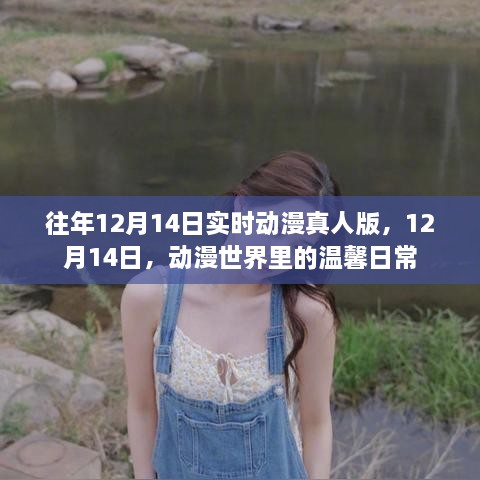 动漫世界温馨日常，往年12月14日的实时真人版