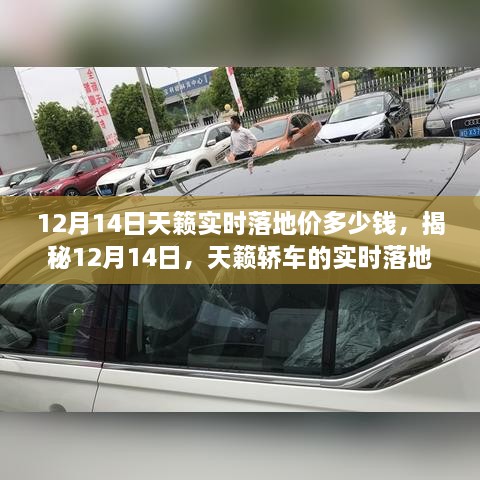 揭秘，12月14日，天籁轿车实时落地价曝光！