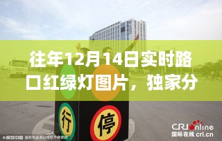 独家分享，历年12月14日路口红绿灯美景，感受交通脉搏瞬间实拍图片展示