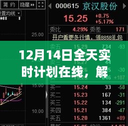 12月14日全天实时计划在线，高效生活指南