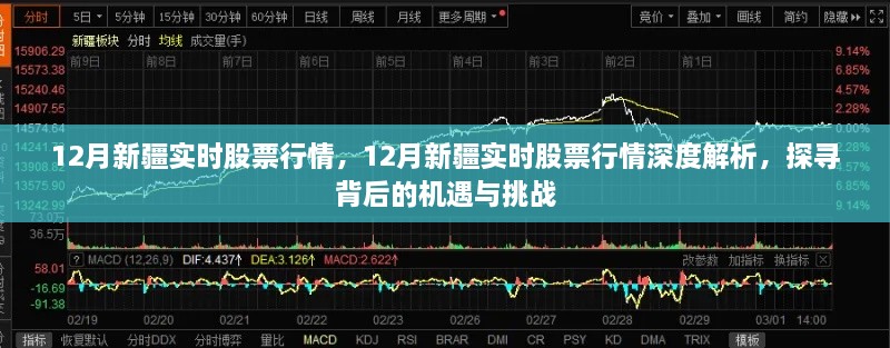 深度解析，12月新疆实时股票行情背后的机遇与挑战