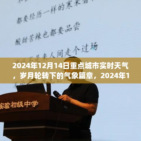 岁月轮转下的气象篇章，2024年12月14日重点城市实时天气深度观察报告