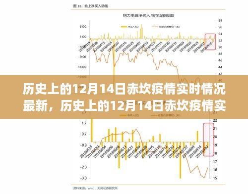 历史上的12月14日赤坎疫情实时情况最新分析与探讨