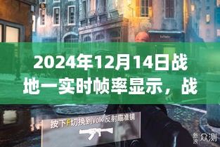 2024年12月15日 第11页