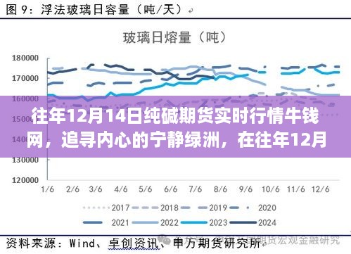 往年12月14日纯碱期货行情回顾，心灵的宁静绿洲与大自然的共舞之旅