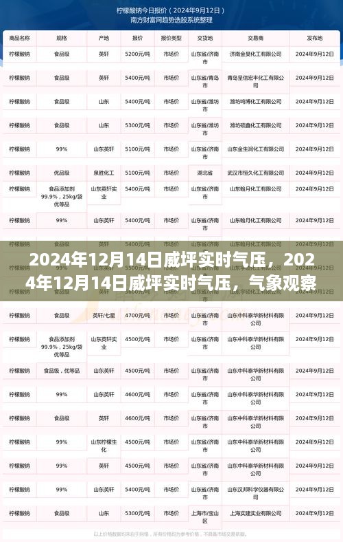 2024年12月14日威坪实时气压监测与气象预测分析