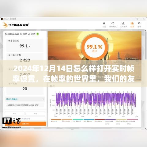 2024年12月14日如何开启实时帧率设置，特殊日常中的友情熠熠生辉