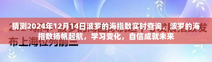 波罗的海指数扬帆起航，预测与自信成就未来，学习变化迎接挑战（2024年12月14日实时查询）