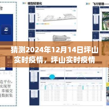 坪山地区未来疫情预测，深度评测与未来展望至2024年12月14日