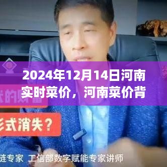 河南菜价背后的温情故事，友情与陪伴的盛宴（实时更新至2024年12月14日）