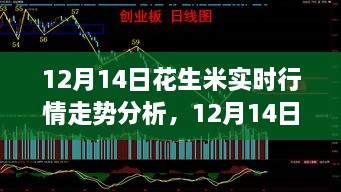 12月14日花生米实时行情深度解析与走势预测