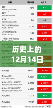 历史上的12月14日实时团购订单查询平台使用详解及指南（初学者与进阶用户适用）