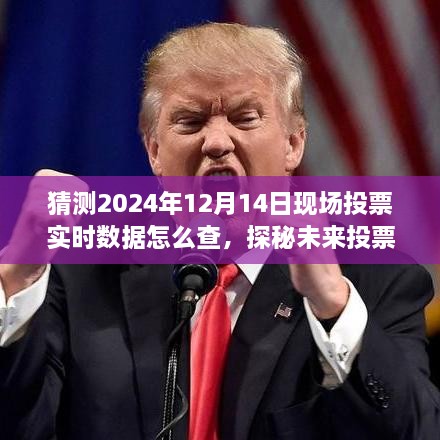 探秘未来投票之旅，如何追踪2024年大选现场投票实时数据与寻找心灵宁静角落的指南