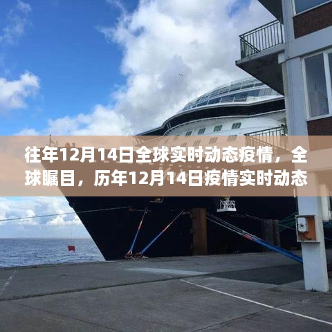 历年12月14日全球疫情实时动态回顾与全球关注焦点