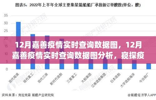 窥探疫情走势与各方观点博弈，12月嘉善疫情实时数据图及分析