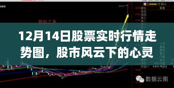 股市风云下的心灵之旅，探寻自然美景与股市走势图的交汇点（实时行情分析）