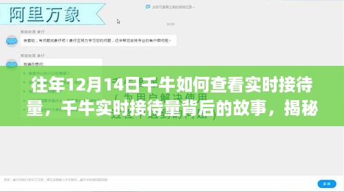 揭秘千牛十二月十四日实时接待量的数字奥秘与背后的故事，如何查看当日接待量统计？