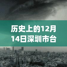 历史上的12月14日深圳市台风实时直播回顾与气象分析