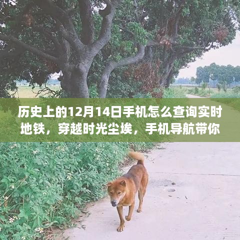 揭秘历史中的手机导航，探寻自然美景下的地铁秘境，实时查询地铁之旅穿越时光尘埃